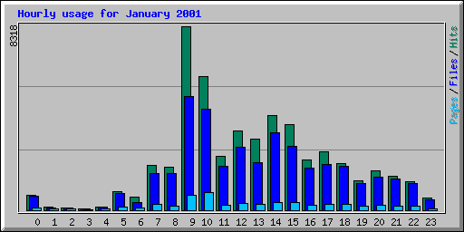 Hourly usage for January 2001